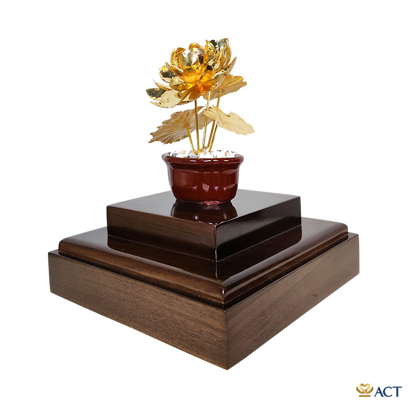 Chậu sen 5 cành mẫu 3