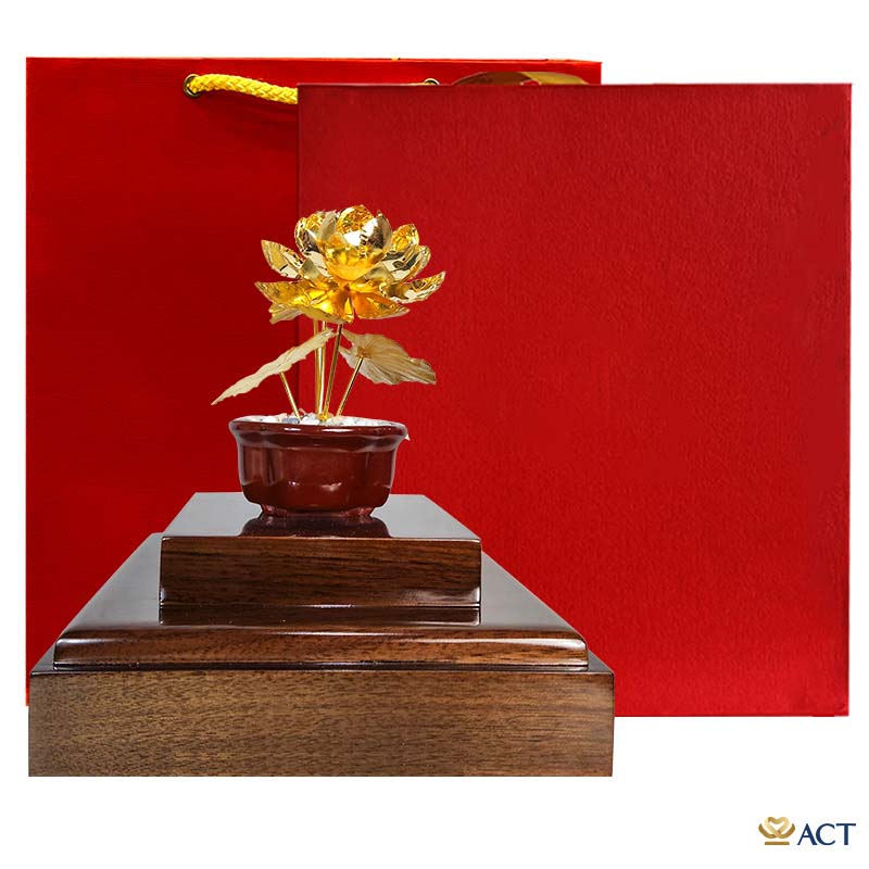 Chậu sen 5 cành mẫu 3