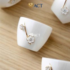 bo trang hoa mai ve vang