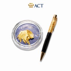 chan giay cung su tu