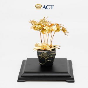 Chậu lan hồ điệp 6 cành dát vàng