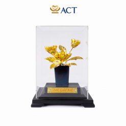 chậu hoa mộc lan dát vàng