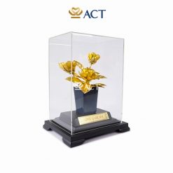 chậu mộc lan để bàn