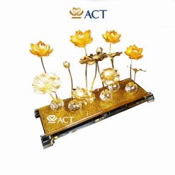 ho sen dat vang 6 canh