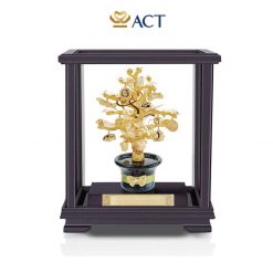 cay tai loc dat vang