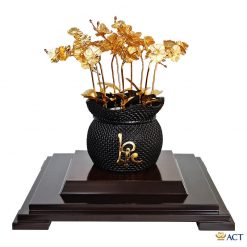 Chậu lan 11 cành Act Gold