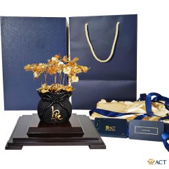 Chậu lan 11 cành tặng sinh nhật sếp