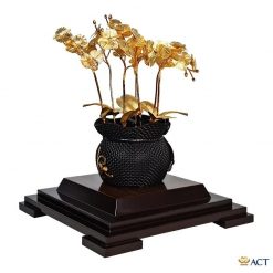 Chậu lan 7 cành dát vang Act Gold