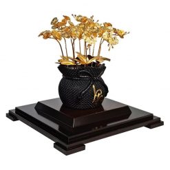 Chậu lan hồ điệp 12 cành