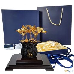 Chậu lan hồ điệp cao cấp