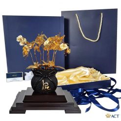 Chậu lan hồ điệp vàng