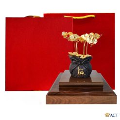 Chậu lan 6 cành dát vàng