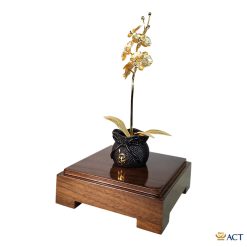 Chậu lan hồ điệp 1 cành dát vàng