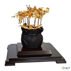 Chậu lan hồ điệp 10 cành cao cấp