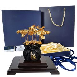 Chậu lan hồ điệp 10 cành tặng sếp