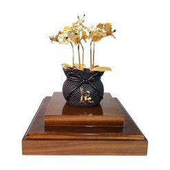 Chậu lan 5 cành dát vàng